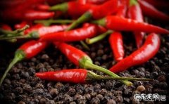 做完包茎手术一天后可以吃零食吗？