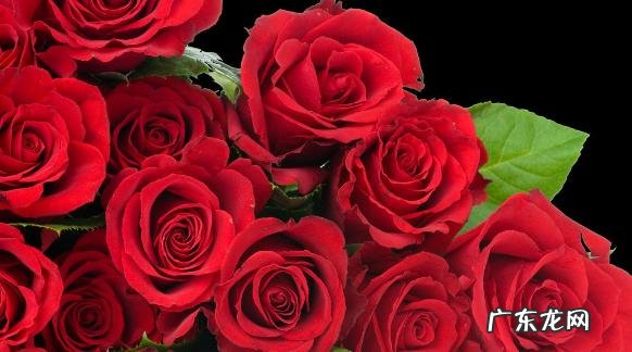 “胖子都是潜力股”,从胖变瘦是一种什么样的体验