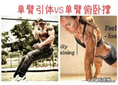 单手俯卧撑和单身引体向上哪个更难？