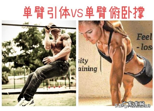单手俯卧撑和单身引体向上哪个更难?