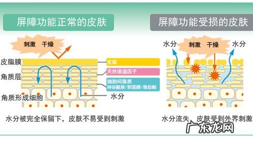 皮肤屏障受损后有什么症状?怎么恢复皮肤屏障?