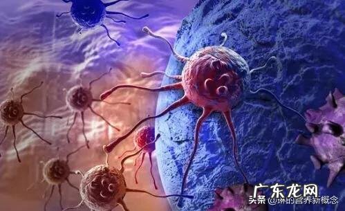 查出癌症,伤心落泪解决不了问题,到底该怎样呢?