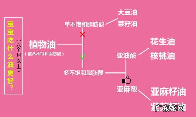 菜籽油,花生油,葵花油,大豆油区别在哪里?