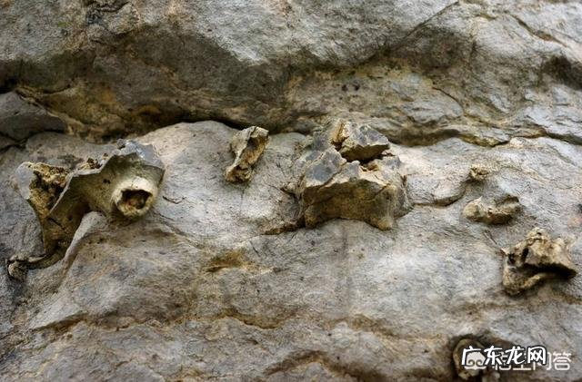 据说地球上曾经下过一场持续几百万年的雨,这是不是真的?