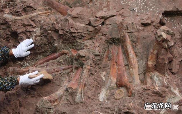 据说地球上曾经下过一场持续几百万年的雨,这是不是真的?