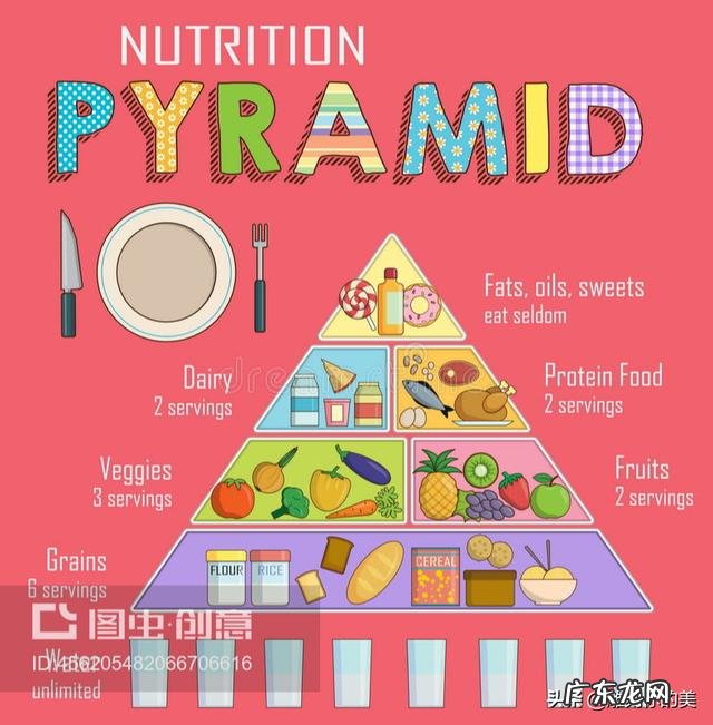 饿的快和基础代谢高有关系么?