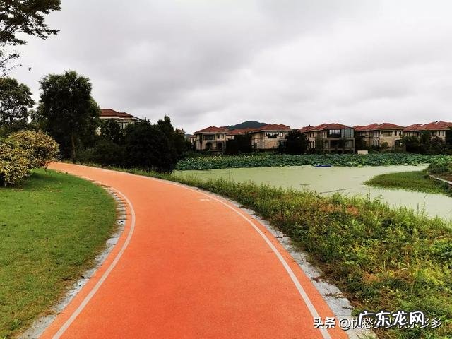 50岁左右的女性,培养一点什么业余爱好比较合适