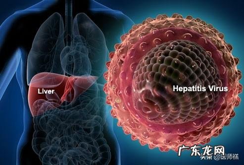 肝变“硬”了,还能扭转吗