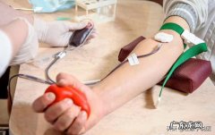 不足间隔六个月可以去献血吗？会对健康有影响吗？