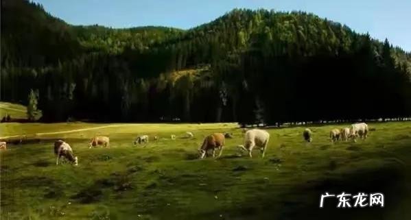 中国人的双眼皮基因从何而来?