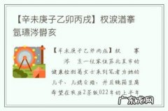 【辛未庚子乙卯丙戌】杈涙湭搴氬瓙涔欎亥