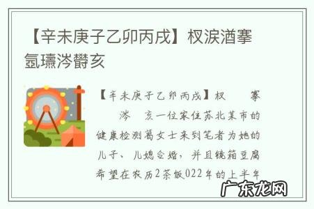 【辛未庚子乙卯丙戌】杈涙湭搴氬瓙涔欎亥
