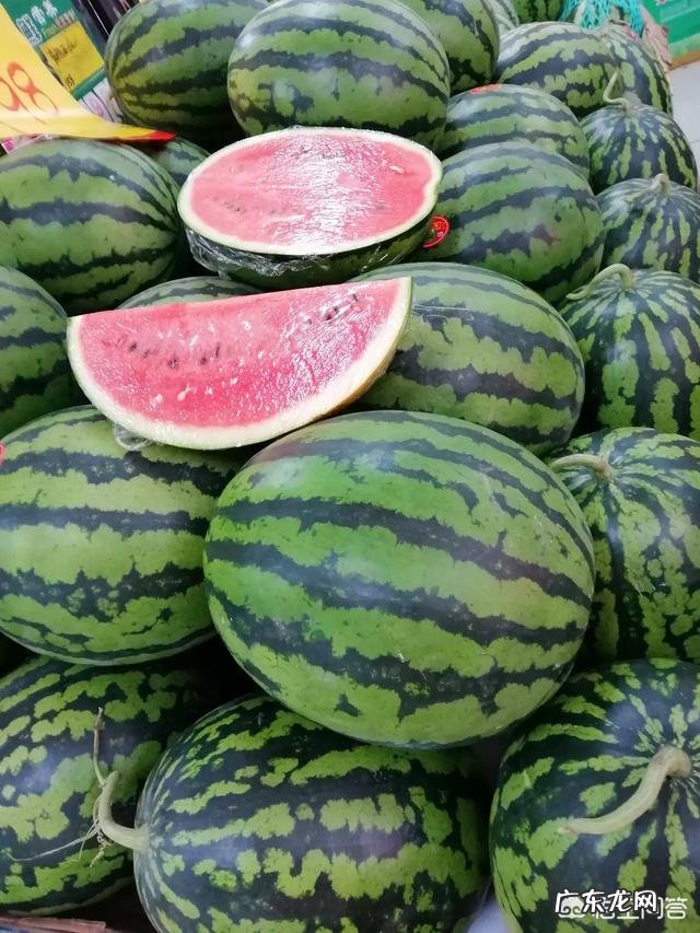 怎样识别无籽西瓜?它和有籽西瓜有什么区别?