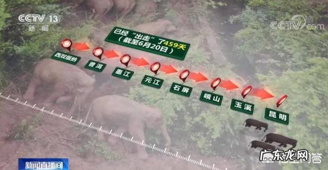 年入1.5亿!人见人烦的“小卡片”,这次为何火遍全网?