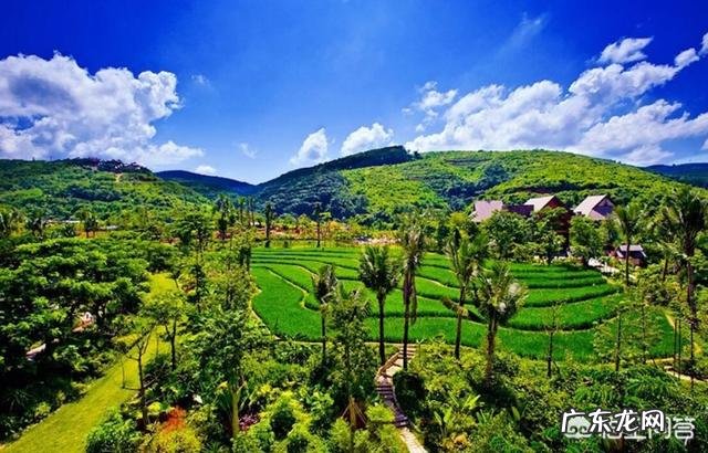 年入1.5亿!人见人烦的“小卡片”,这次为何火遍全网?