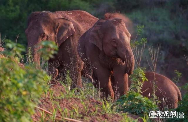 年入1.5亿！人见人烦的“小卡片”，这次为何火遍全网？