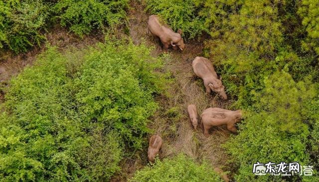 年入1.5亿!人见人烦的“小卡片”,这次为何火遍全网?