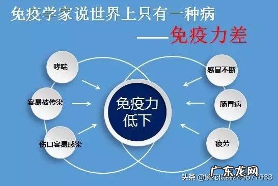 吃五谷杂粮可以增强免疫力吗?