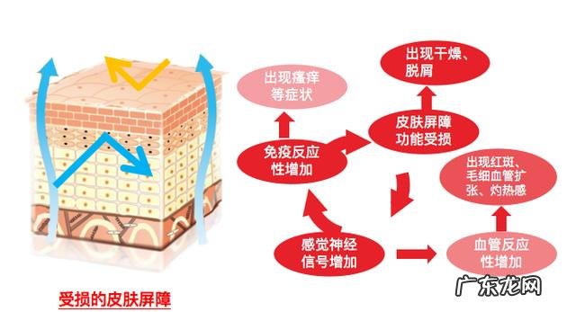 为啥洗脸都能让屏障受损?