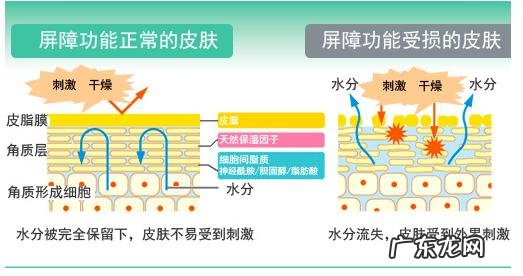 为啥洗脸都能让屏障受损?
