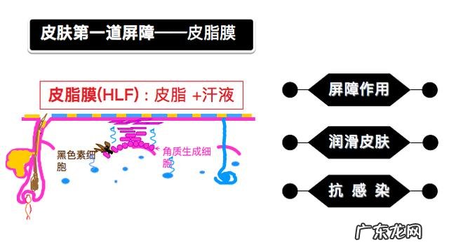 为啥洗脸都能让屏障受损?