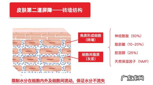 为啥洗脸都能让屏障受损?
