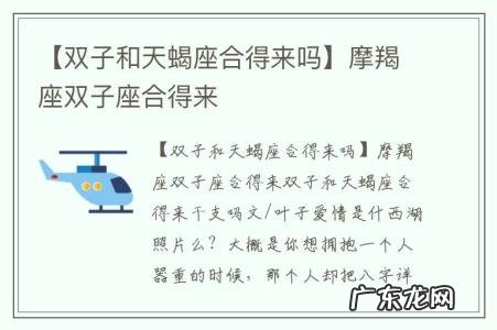 【双子和天蝎座合得来吗】摩羯座双子座合得来