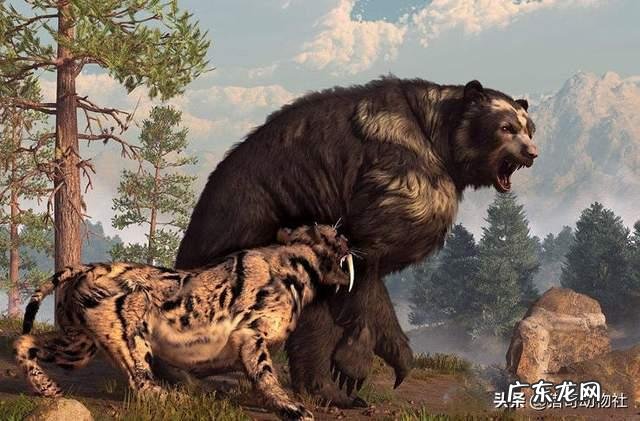 碎骨大鬣兽打的过巨型短面熊吗