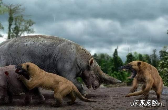 碎骨大鬣兽打的过巨型短面熊吗