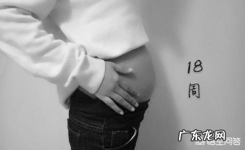 18周的胎儿一般多长时间会胎动一下