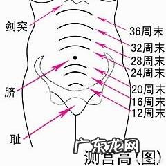 18周的胎儿一般多长时间会胎动一下