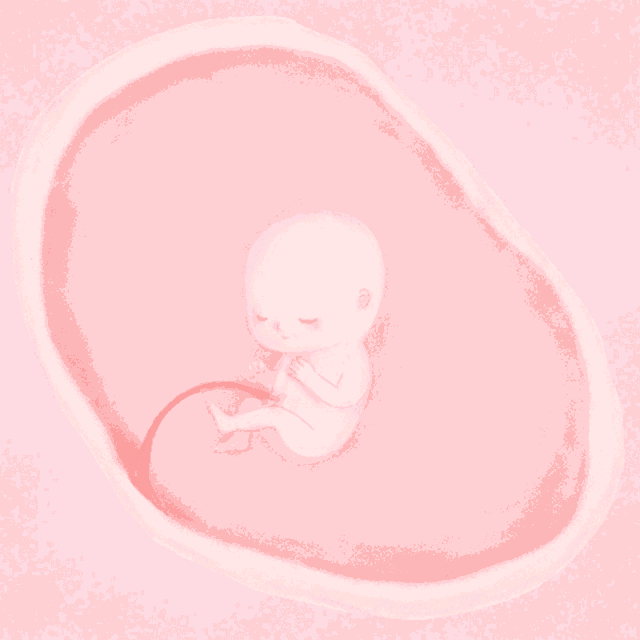 18周的胎儿一般多长时间会胎动一下