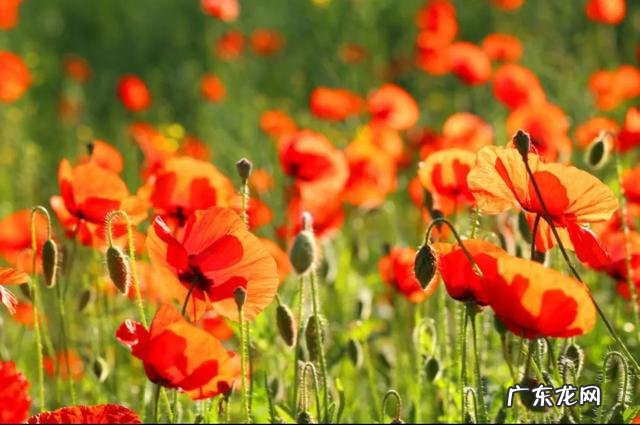 有哪些句子曾让你会心一笑