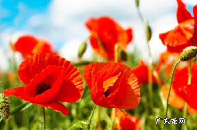 有哪些句子曾让你会心一笑