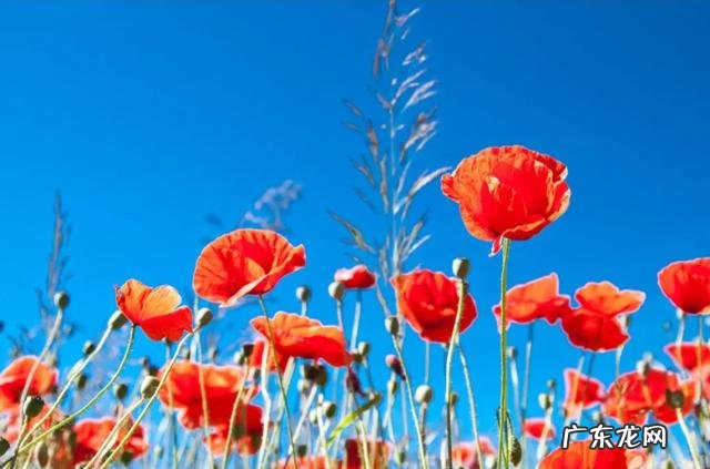 有哪些句子曾让你会心一笑