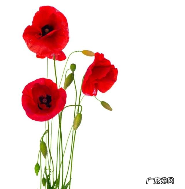 有哪些句子曾让你会心一笑