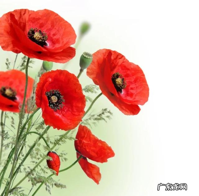 有哪些句子曾让你会心一笑