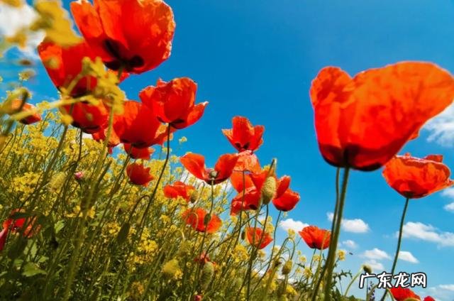 有哪些句子曾让你会心一笑