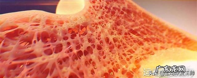 左小腿胫腓骨骨折五十天了,做内髓内钉怎么锻炼?