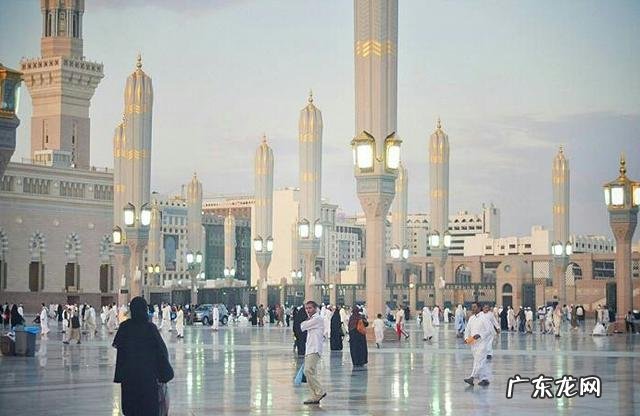 关于沙特，有什么有趣的事情吗？