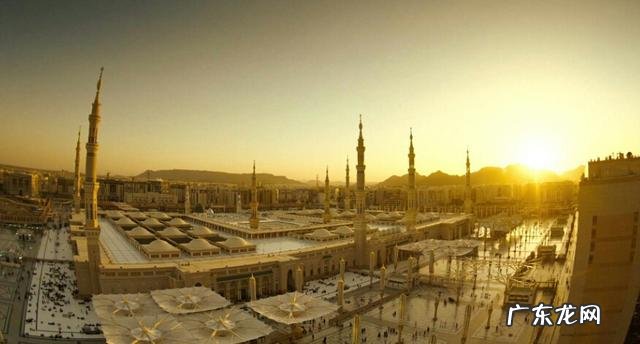 关于沙特,有什么有趣的事情吗?