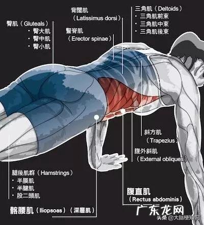 朋友有高血脂,血糖也不低,如何从饮食进行调理