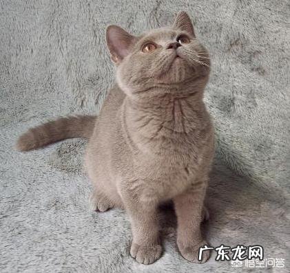 想要光溜溜的皮肤,怎样脱毛最合适