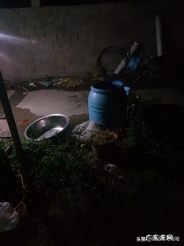 817肉鸡养到多少斤卖得比较贵呀怎么养好