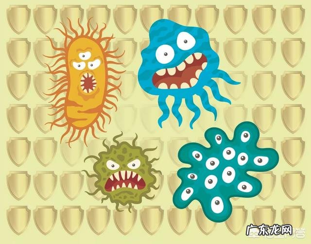 免疫力和什么有关呢?怎样防止免疫力降低?