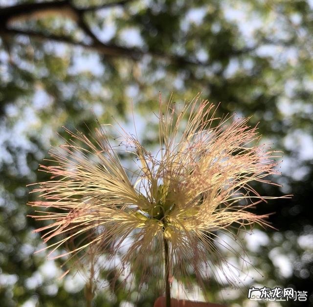 免疫力和什么有关呢?怎样防止免疫力降低?