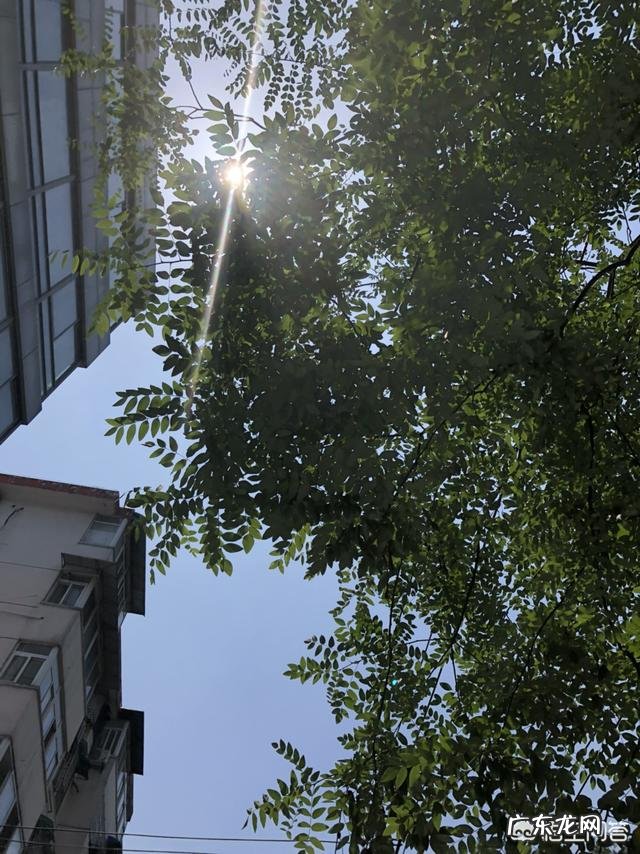 免疫力和什么有关呢？怎样防止免疫力降低？