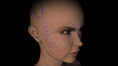 如何防止皮肤衰老、松弛和长皱纹？