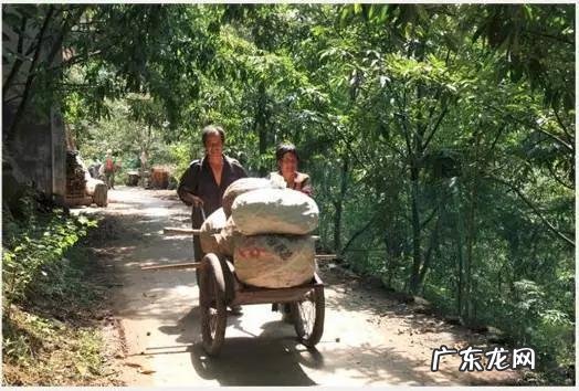 如何写好走心的蜂蜜产品众筹文案?