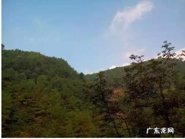 如何写好走心的蜂蜜产品众筹文案?